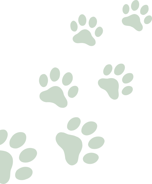 Muted sage green paw prints