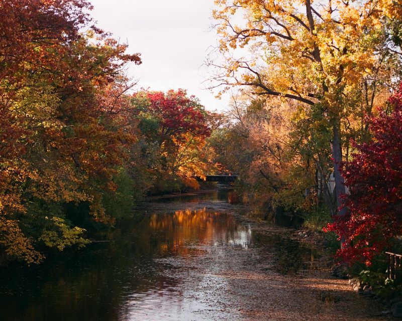 east-lansing-river-view-800x640-1 East Lansing river