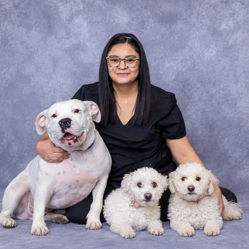 A woman in black sits with a large white dog and two small fluffy white dogs against a gray studio backdrop, creating a warm, calm portrait.